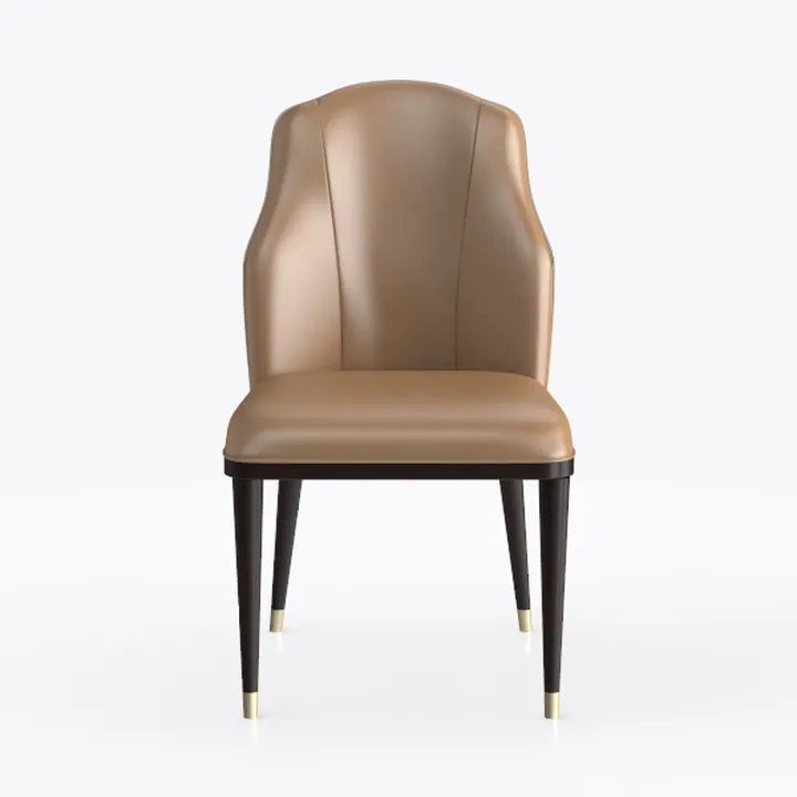 Dining Room Chairs Set, Modern Accent Chair Set of