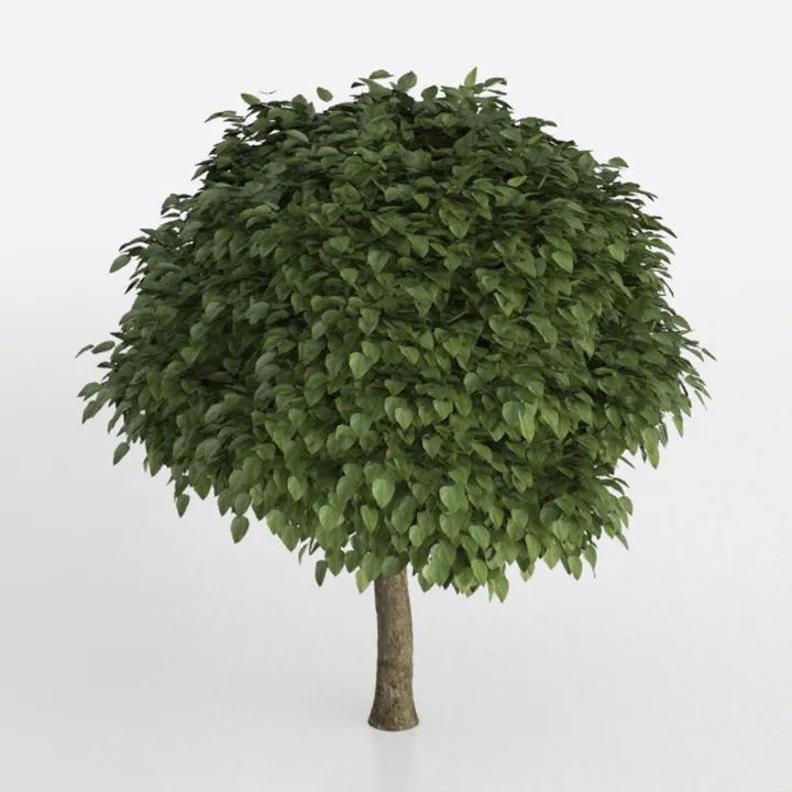 Realistic Lush Potted Topiary Tree 3D Model
