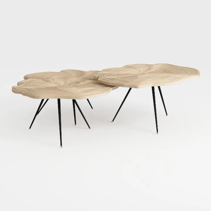 2-Piece Modern Farmhouse Living Room Coffee Table 