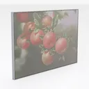 Vintage Apple Still Life Oil Painting Wall Art 3D Model Right 45 Degree View