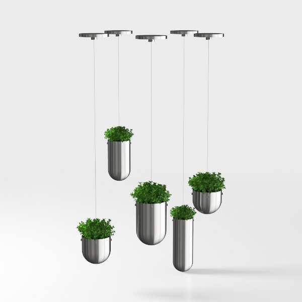 Floral Greenery-plant 58.max