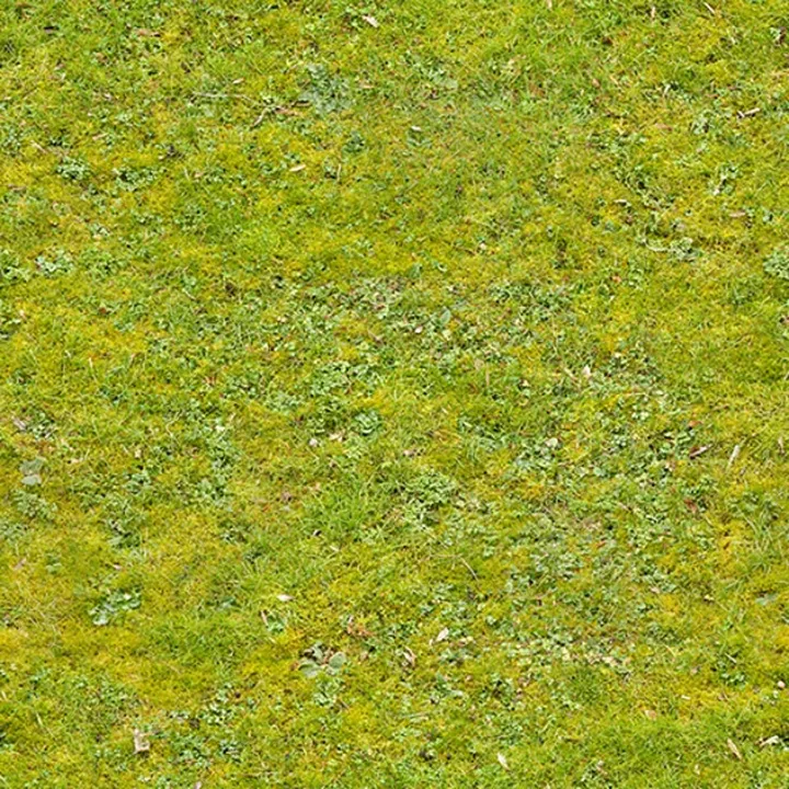 Grass1