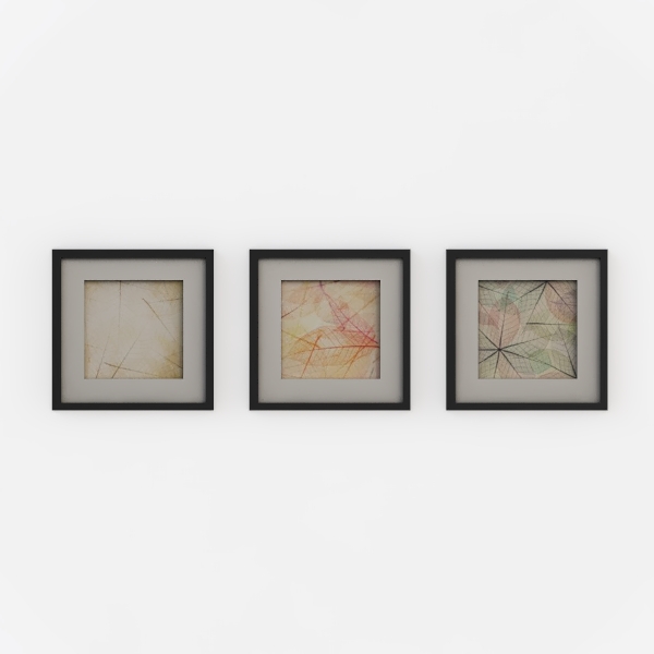 Triad Framed Picture - Transparent Leaves