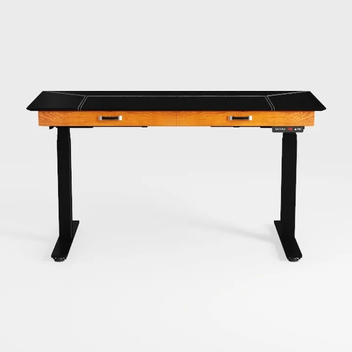 Electric Standing Desk Adjustable - 48 x 24 Inch