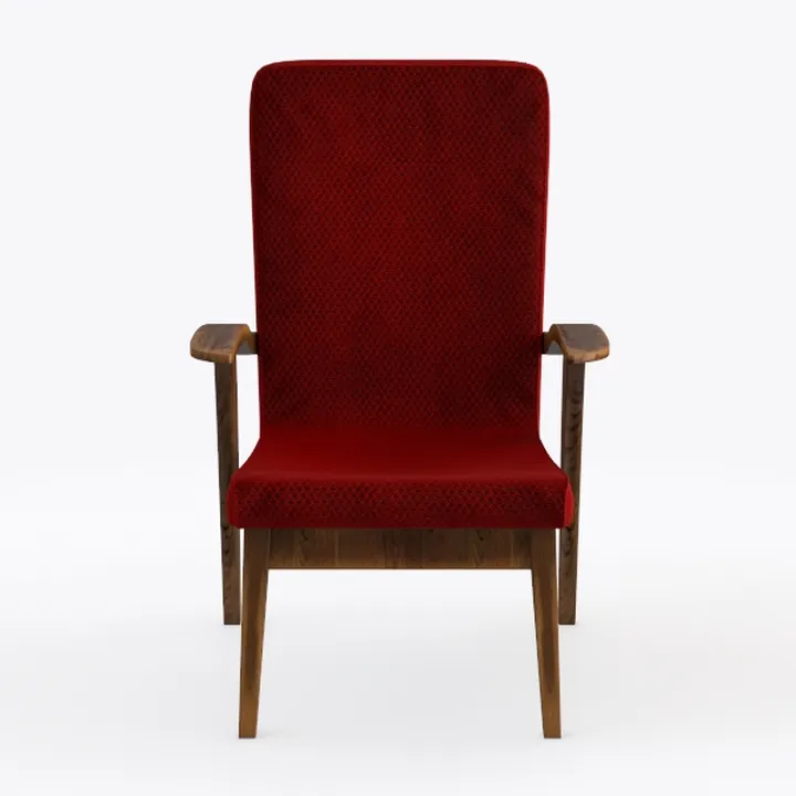 Upholstered Accent Armchair for Living Room