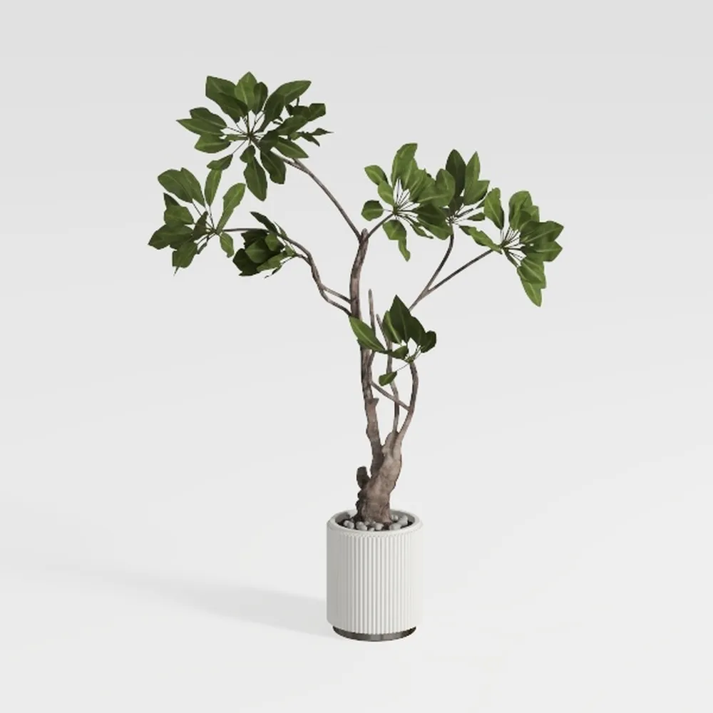 GarveeHome Artificial Fiddle Leaf Fig Tree - 6FT