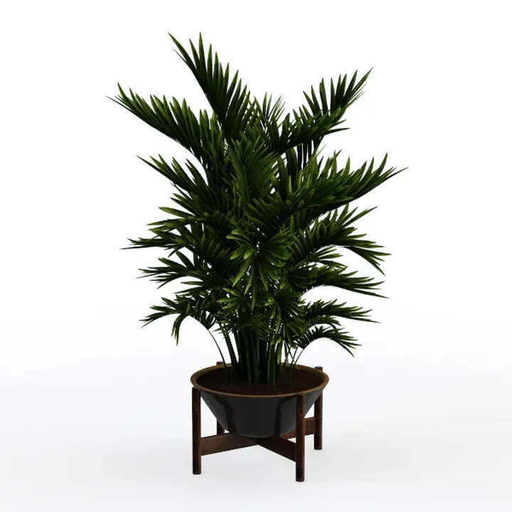 Modern Minimalist Potted Palm Floor Plant Decor 3D Model