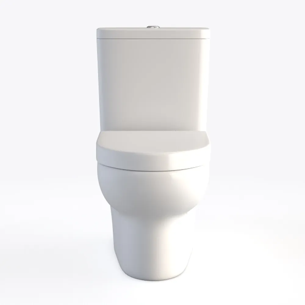 HOROW T0338WG One Piece Toilet with Gold Button