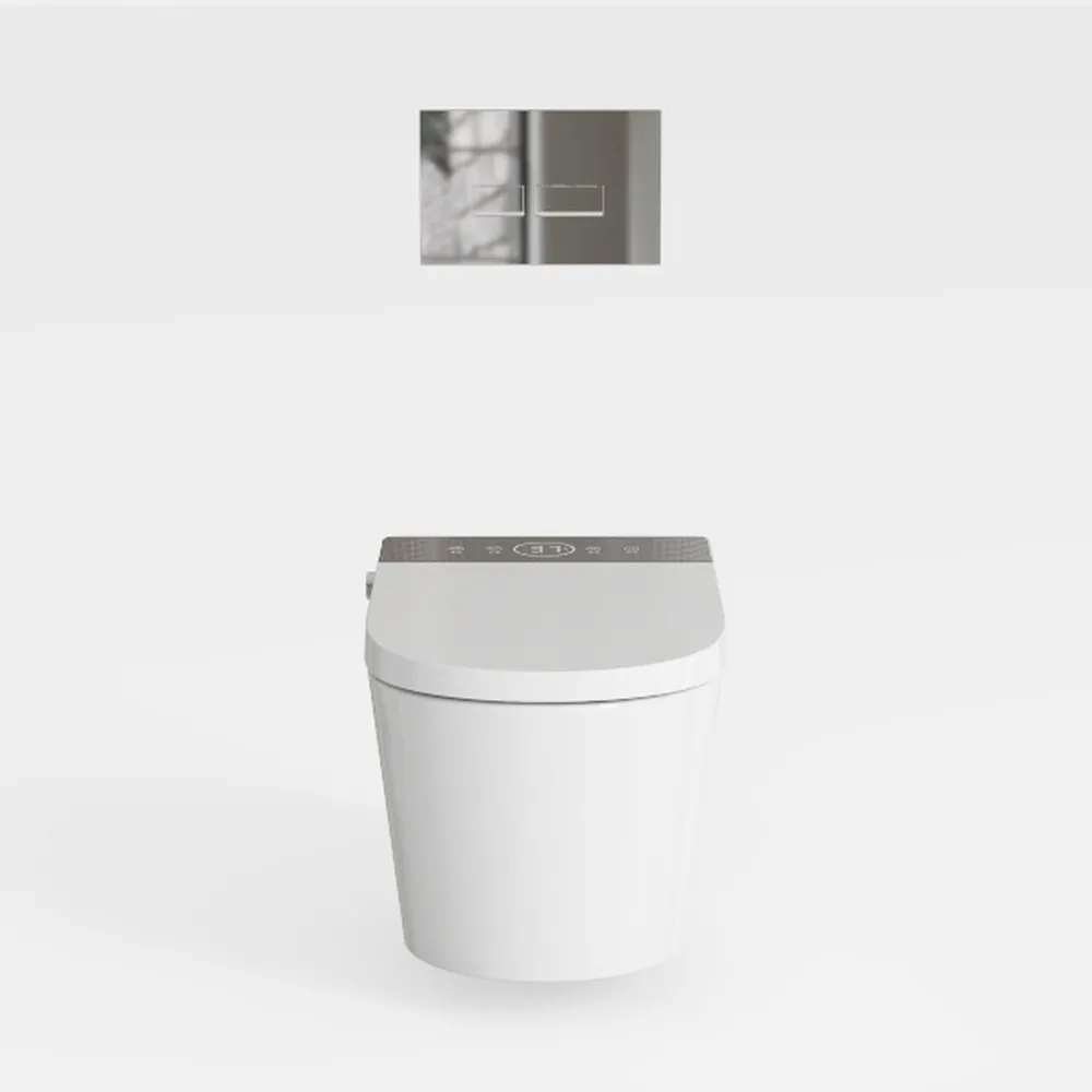 Smart Toilet with Bidet Built-In, Bidet Toilet