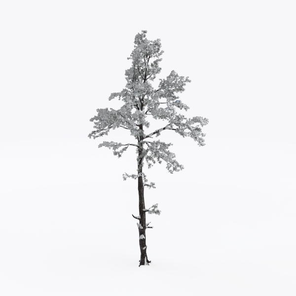 snow tree-Landscape Greenery