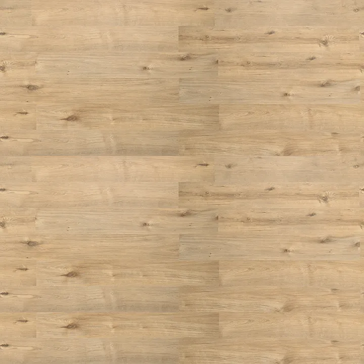 Laminate Floor 19