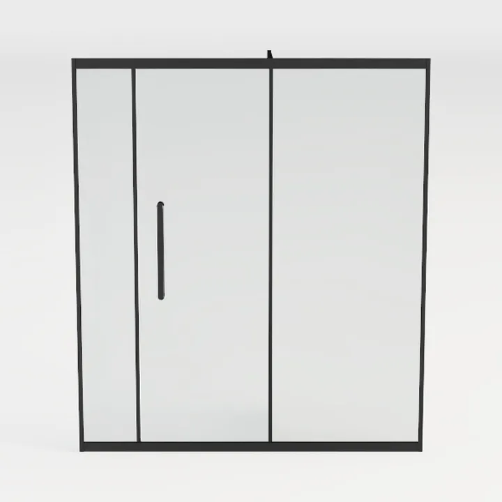 Shower Door 9