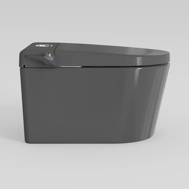 BONSAM Smart Toilet with Auto Flush, Modern