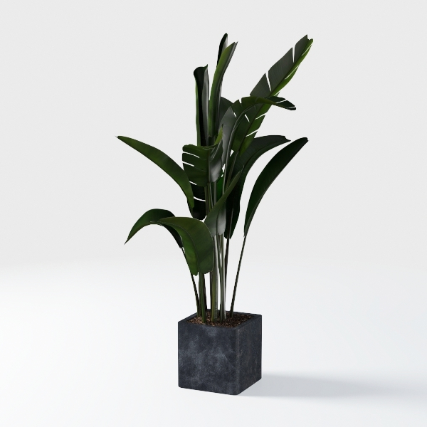 Fiddle Leaf Fig Tree Artificial 5FT - Faux Plant