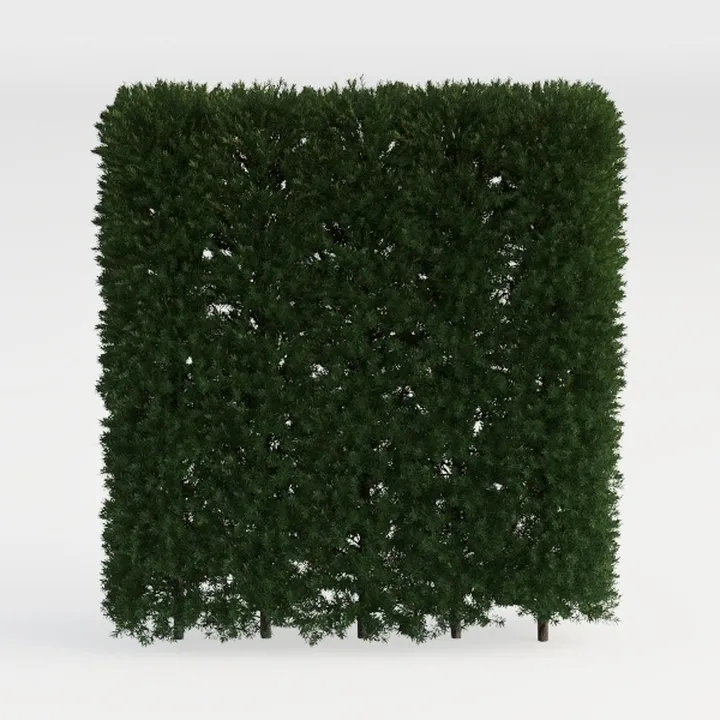 Realistic Green Hedge Fence Plant 3D Model