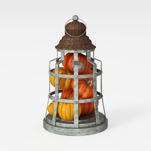 pumpkin cage-Thanksgiving
