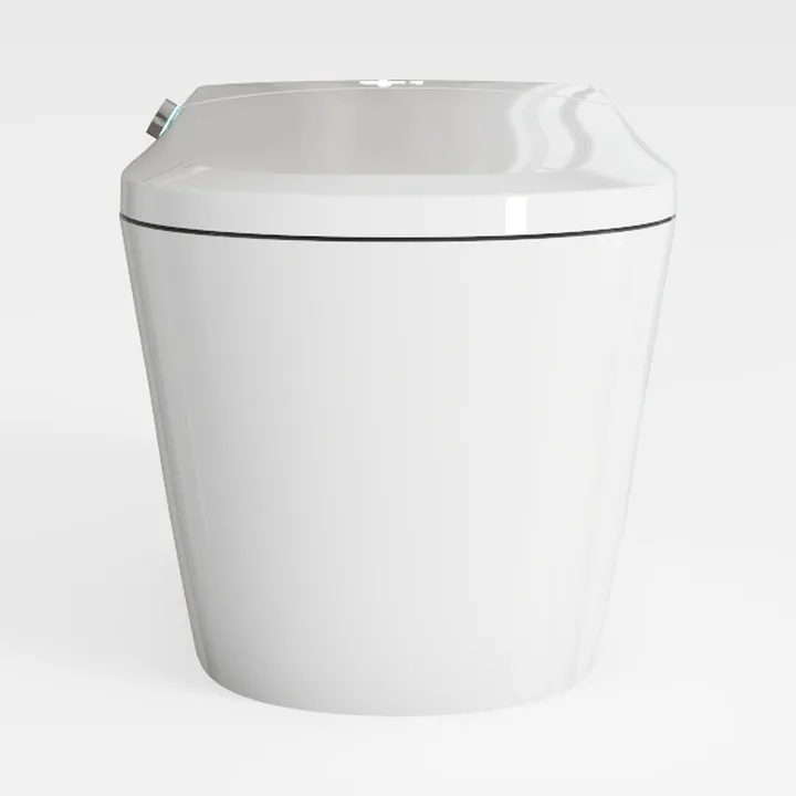 Wall Hung Toilet, Modern Wall Mounted Toilets with