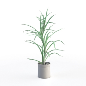Minimalist Potted Spiky Aloe Vera Plant 3D Model