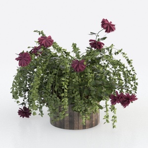 flower-Fluttering Blooms