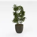 Coitak Artificial Succulent Plants Potted, Assorte Right 45 Degree View