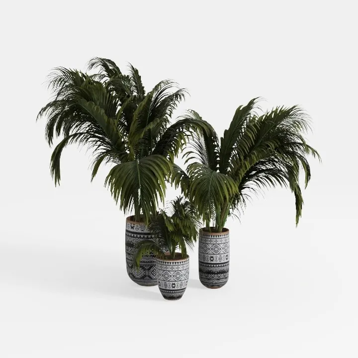 Bohemian Ceramic Potted Palm Floor Plants 3D Model