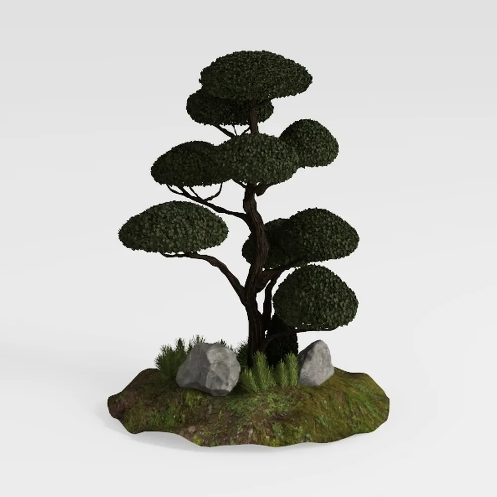 Elephant Ear Plants Collection | Black Magic