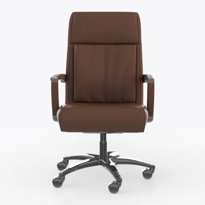 Electric Power Lift Recliner Chair for Elderly wit
