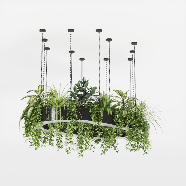 ceiling lamp-Wild Side