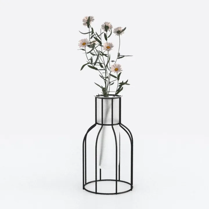 Nordic Iron Golden Hydroponic Vase Decoration Living Room Table Top Decoration Dried Flower Green Dill Plant Container Vase