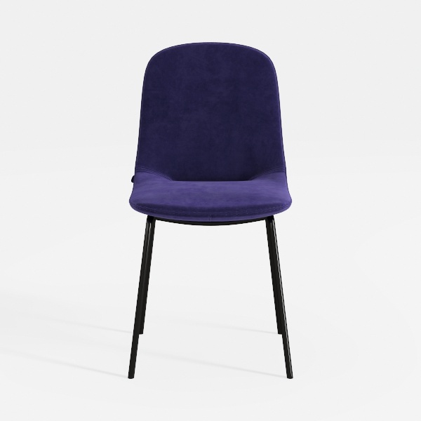 Modern Set of 2 Dining Chairs, Kitchen Bedroom