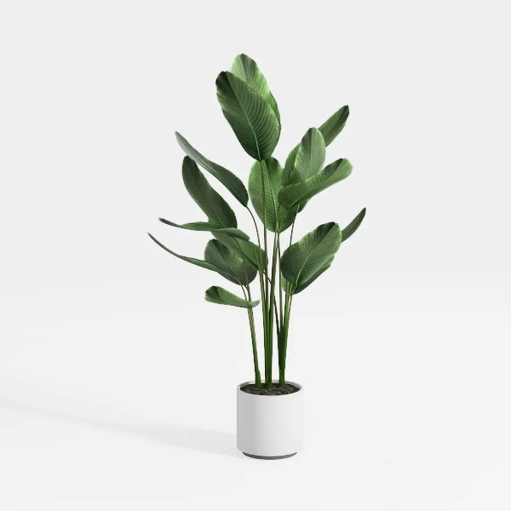 Artificial Monstera Deliciosa Plant 5ft Tall in