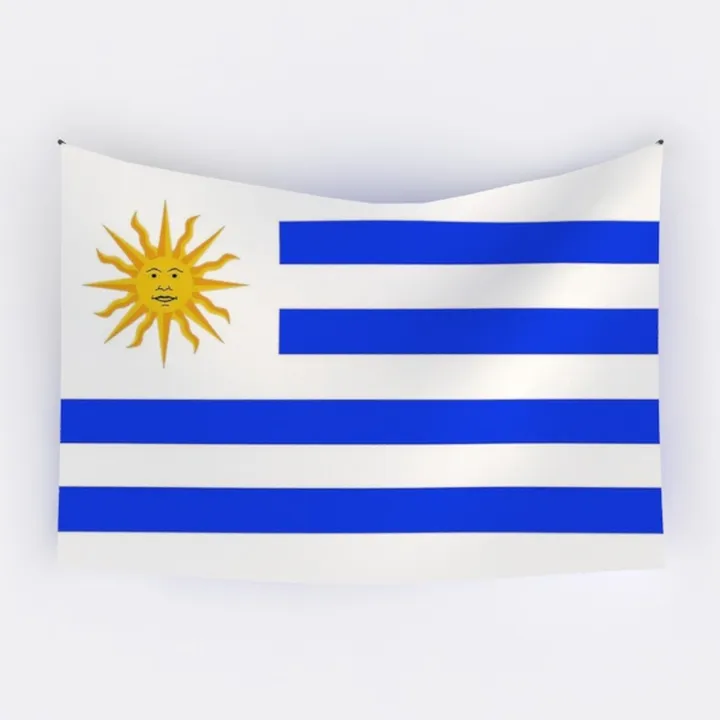 Uruguay National Flag Wall Tapestry Decor 3D Model