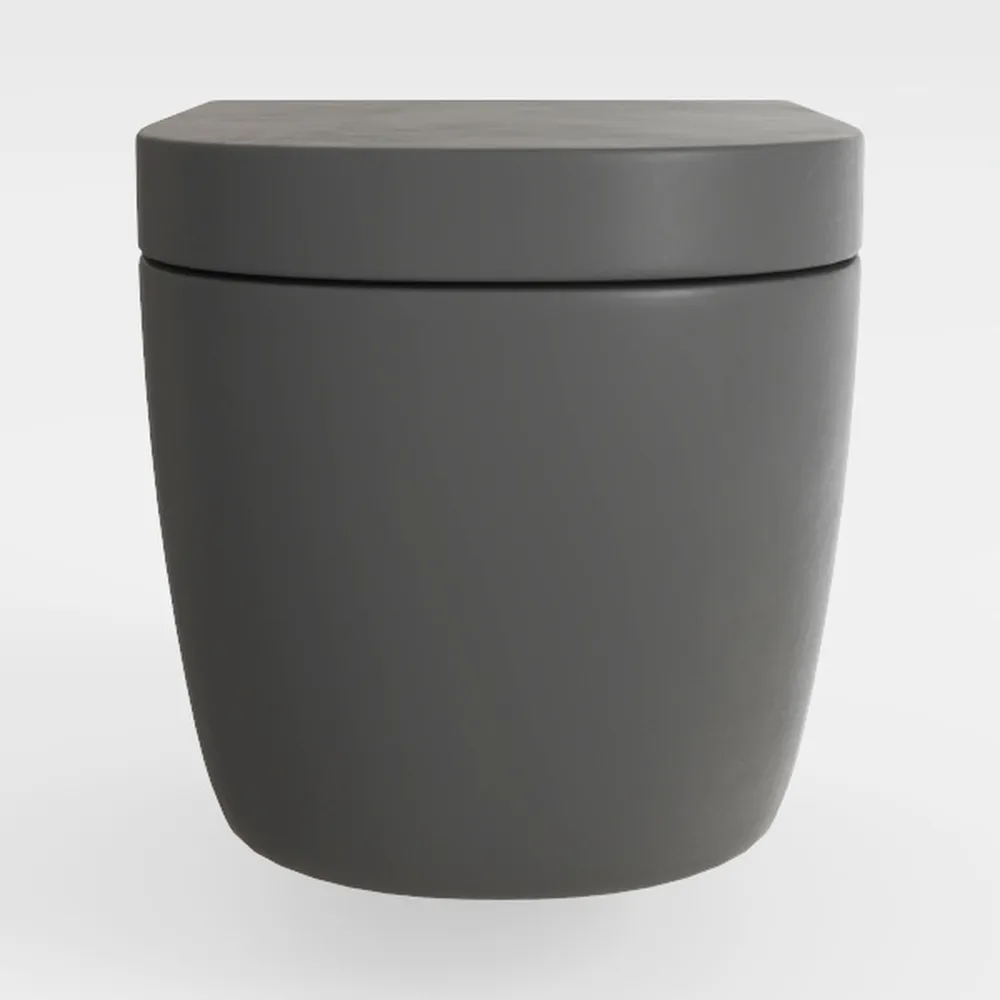 WinZo Smart Toilet,Modern Smart Toilet with Bidet