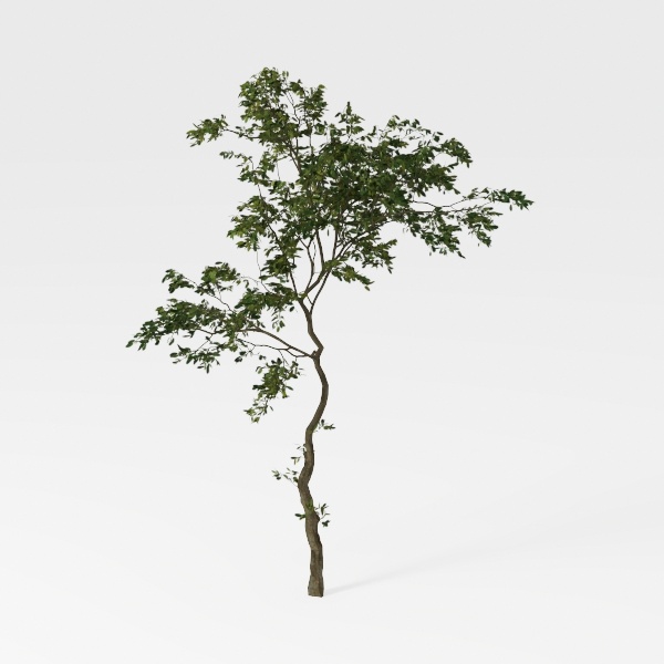 EcoFaux Artificial Olive Tree 6ft - Indoor Tall