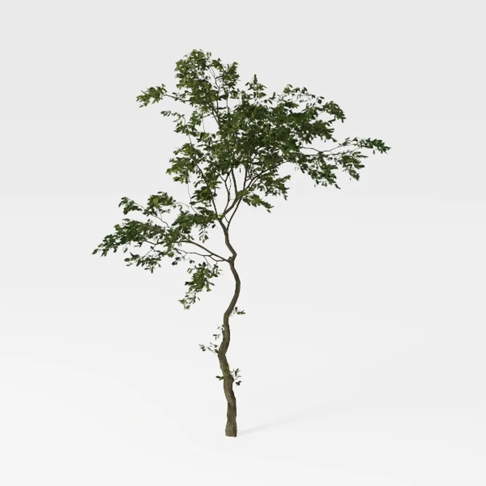 EcoFaux Artificial Olive Tree 6ft - Indoor Tall