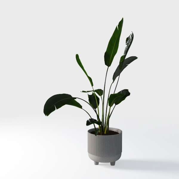 Bird of Paradise Artificial Plant 5FT - Faux