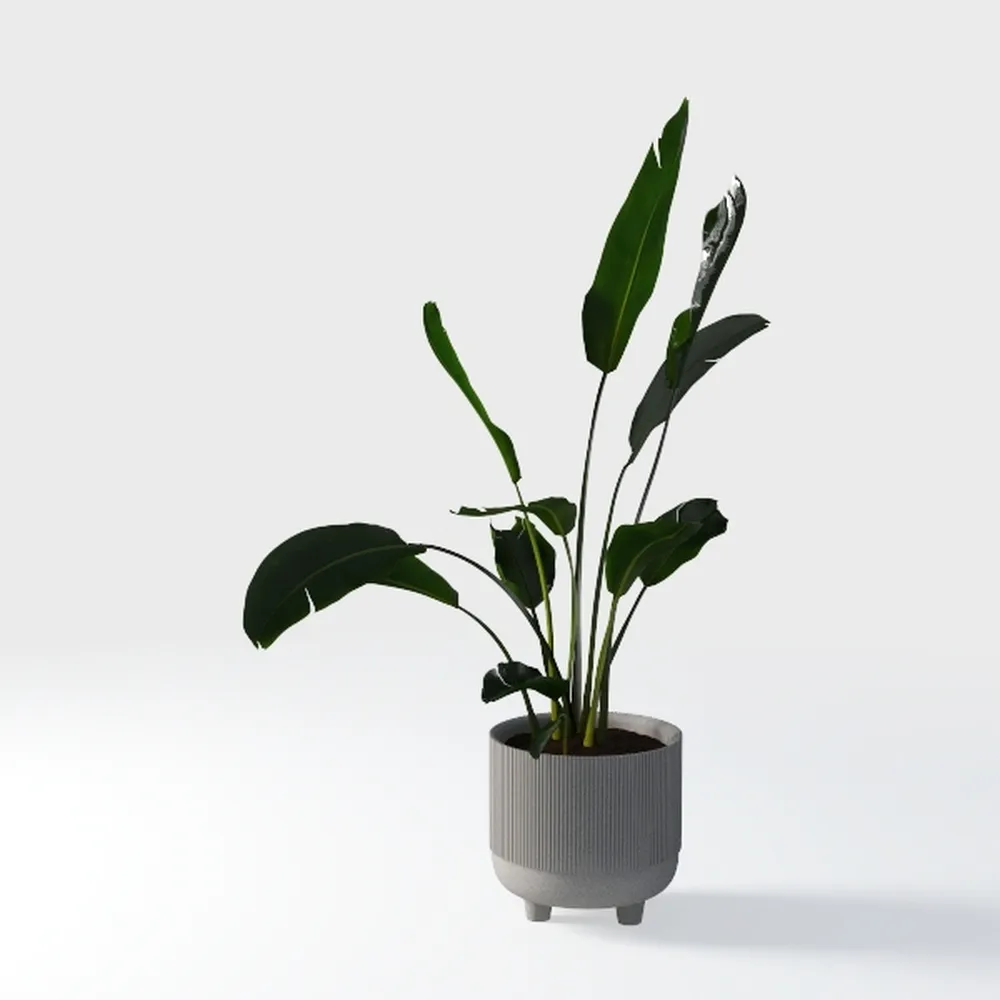 Bird of Paradise Artificial Plant 5FT - Faux