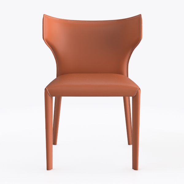 Dining Chairs Set of 2, for Indoor Kitchen Room