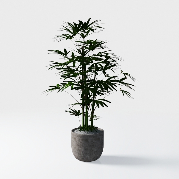 4ft Artificial Ficus Tree with Natural Wood Trunk,