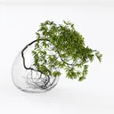 Minimalist Clear Glass Tabletop Plant Vase 3D Model Left 45 Degree View