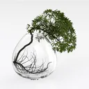 Minimalist Clear Glass Tabletop Plant Vase 3D Model Right 45 Degree View