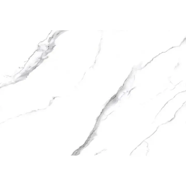 Wall&Floor Tile 366