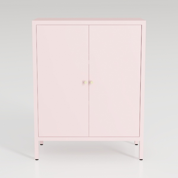 Small 2 Transparent Door Metal Storage Side Buffet