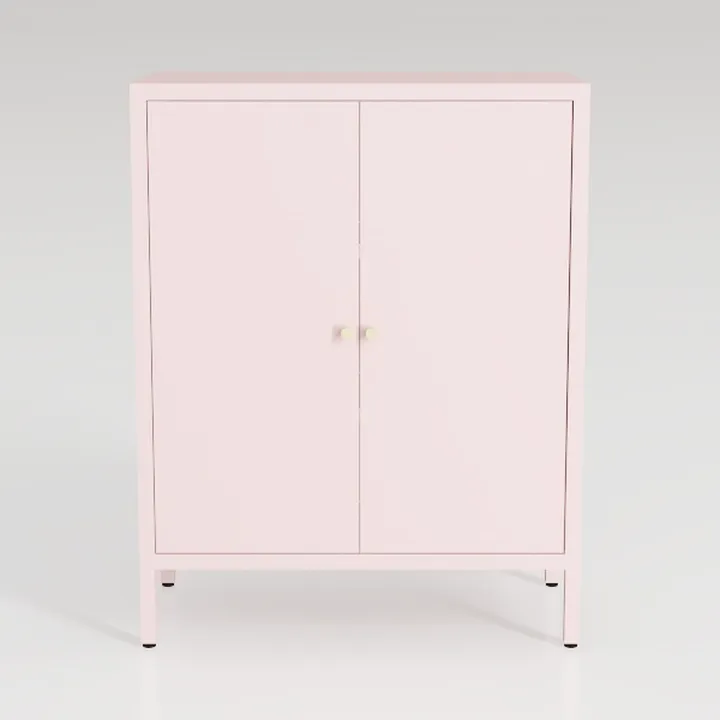 Small 2 Transparent Door Metal Storage Side Buffet