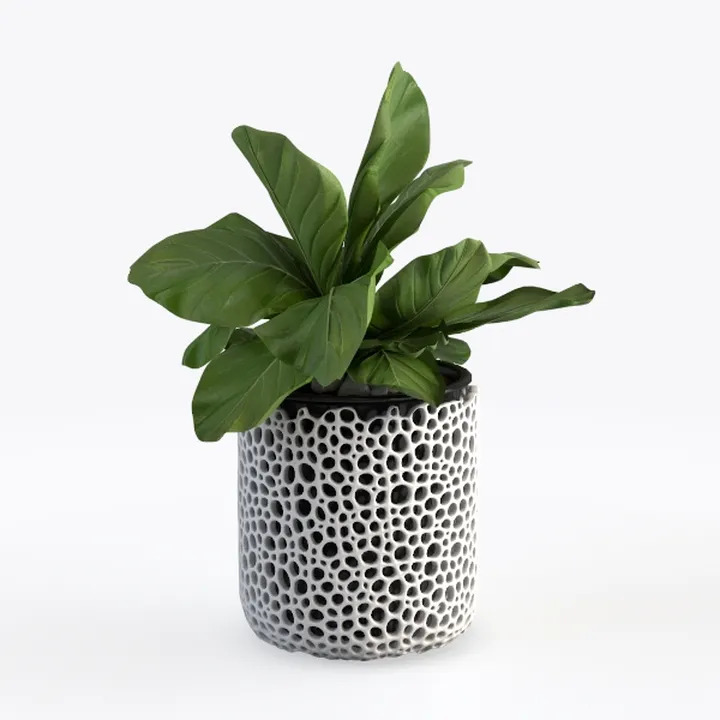 Modern Minimalist Concrete Decorative Planter with Foliage 3D Model