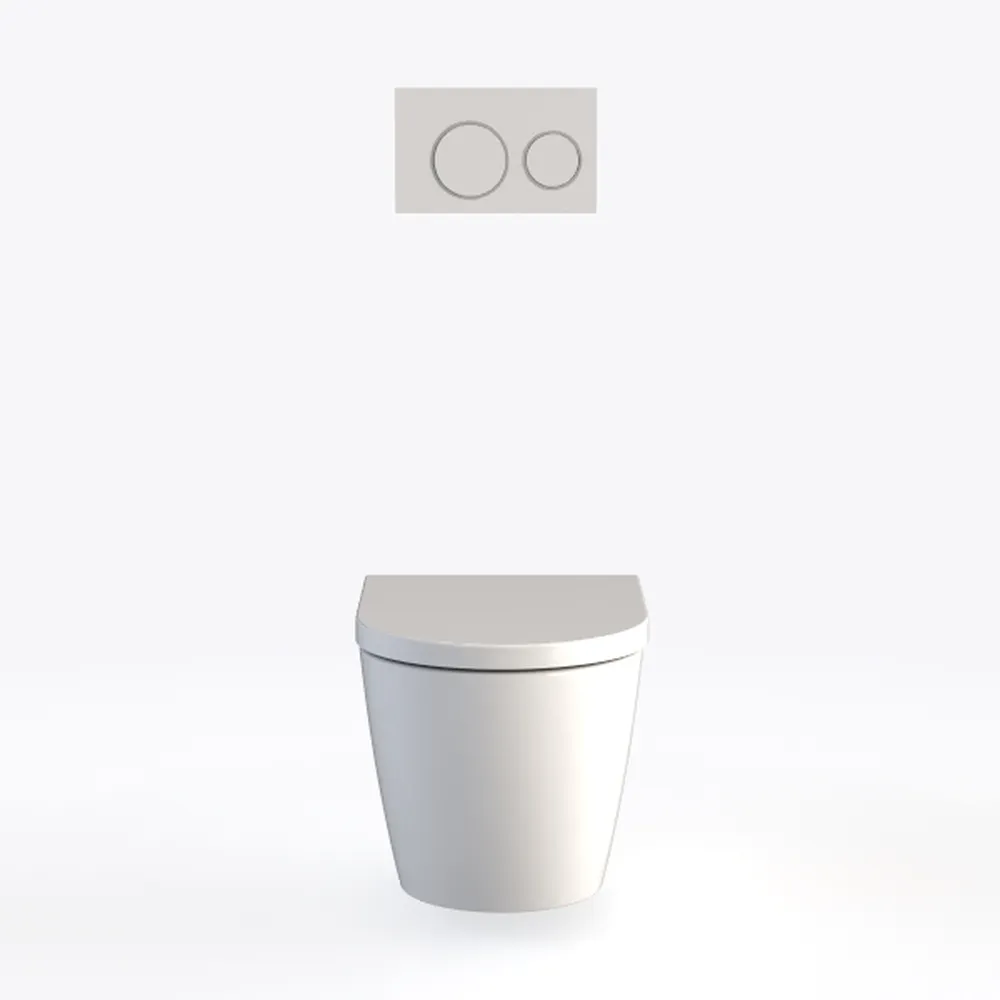 Comfort & Elongated Wall Hung Toilet System, Los