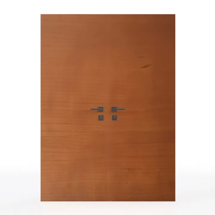 Modern Solid Wood Double Entry Door 3D Model