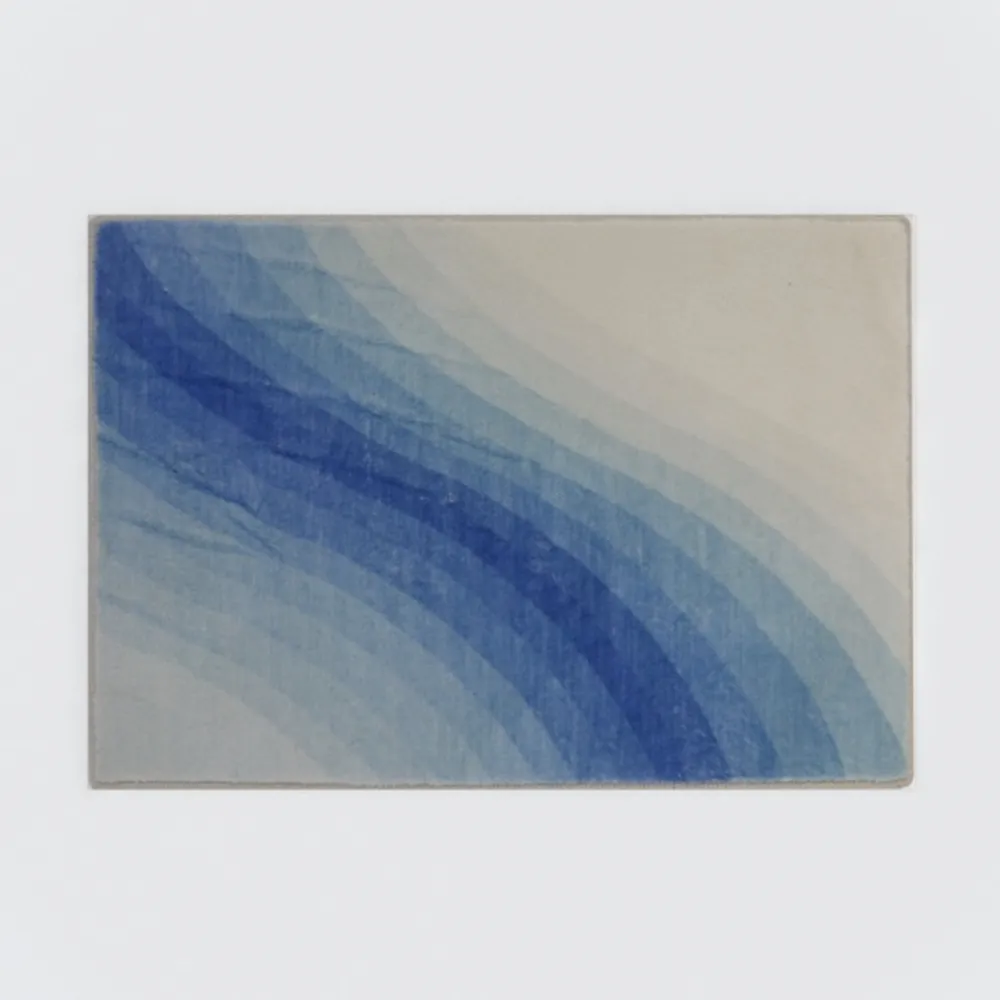 Indoor Runner Rug, Washable Runner Rug with Rubber