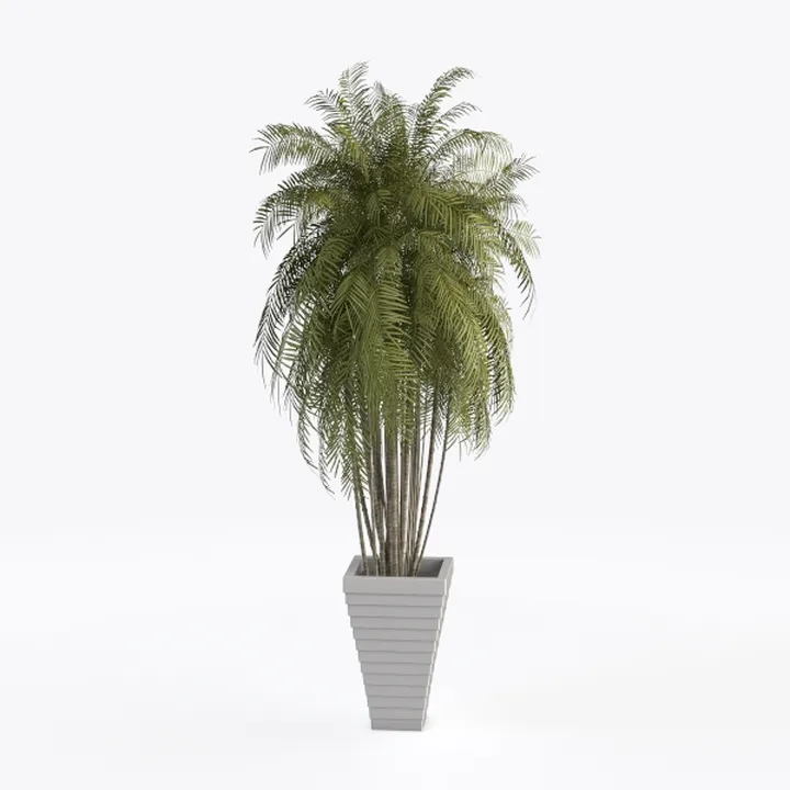 Minimalist Potted Palm Tree Indoor Decorative 3D Model