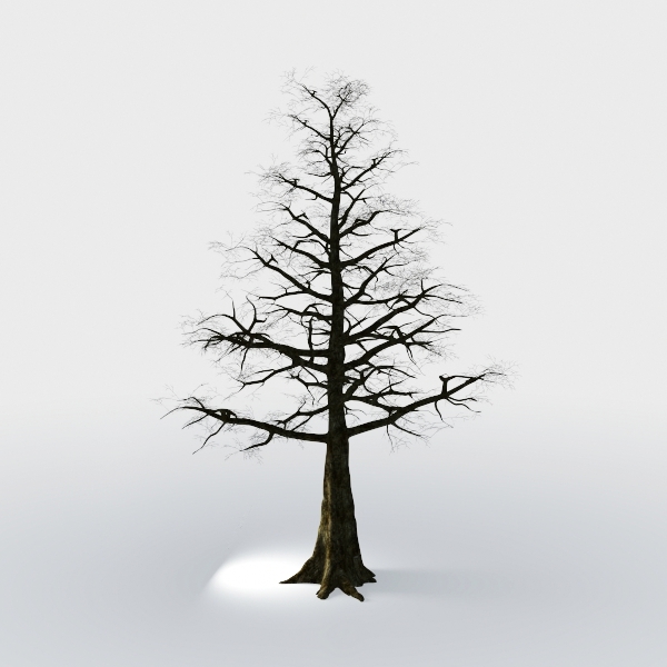 tree-Landscape Greenery